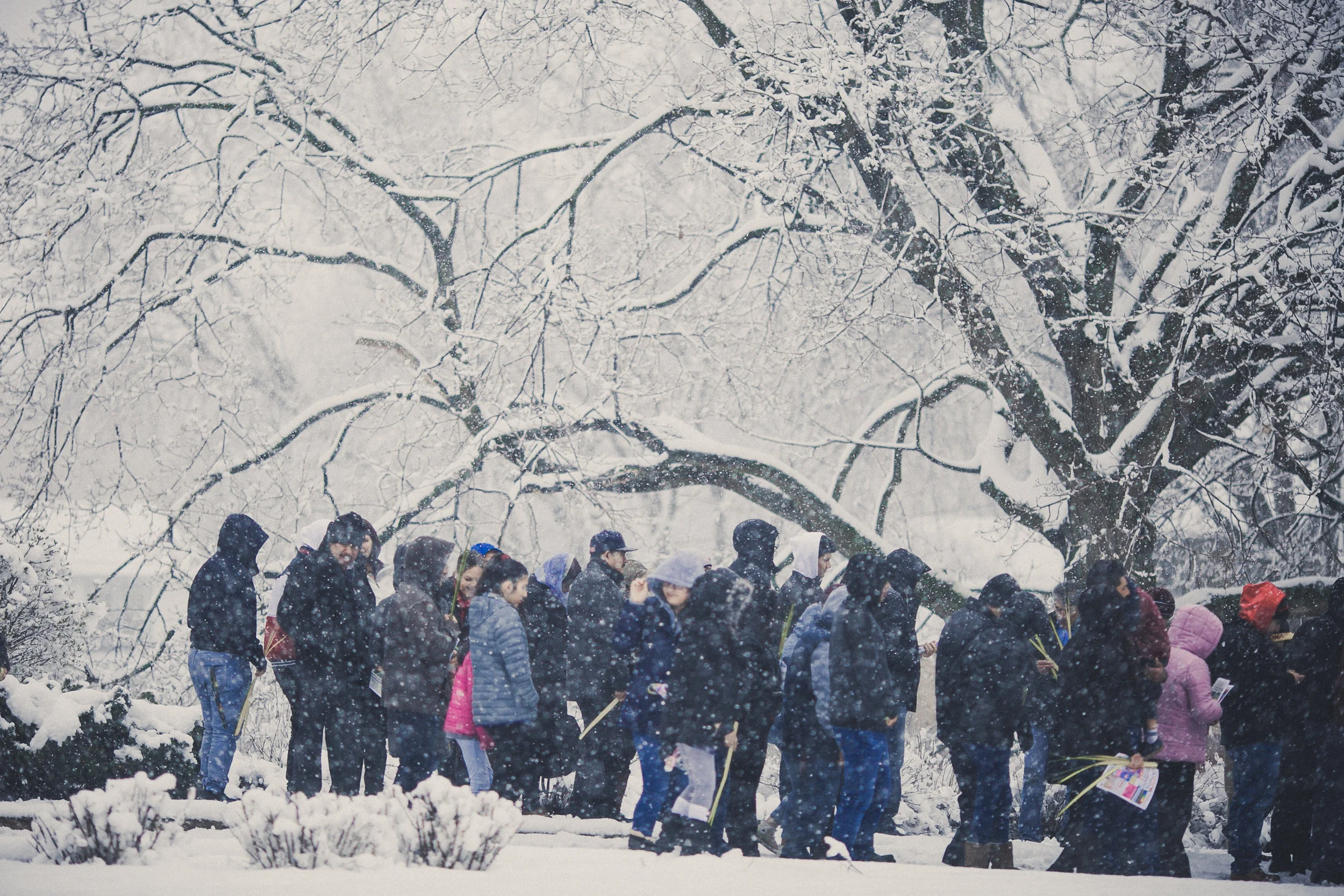 Yes, snow is possible. Welcome to Chicago!