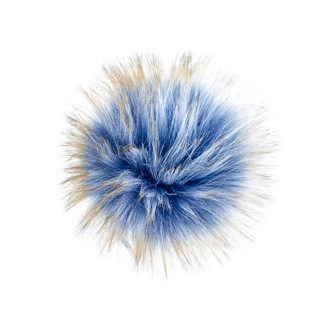 Raccoon Blue:Gold.jpg