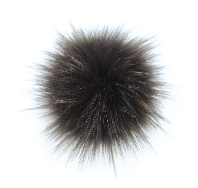 Raccoon Brown.jpg