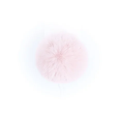 MiniMi+Rex+Rose.jpg
