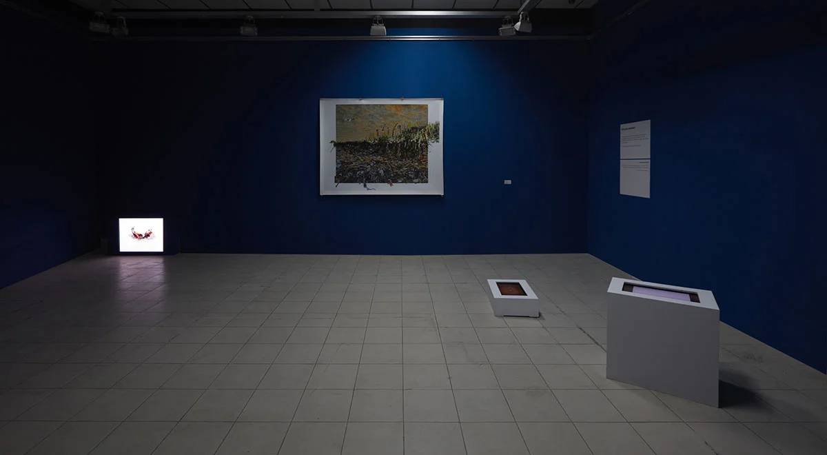 Installation view. Photo courtesy of the Dhaka Art Summit and Samdani Art Foundation. Photo credit: Jenni Carter