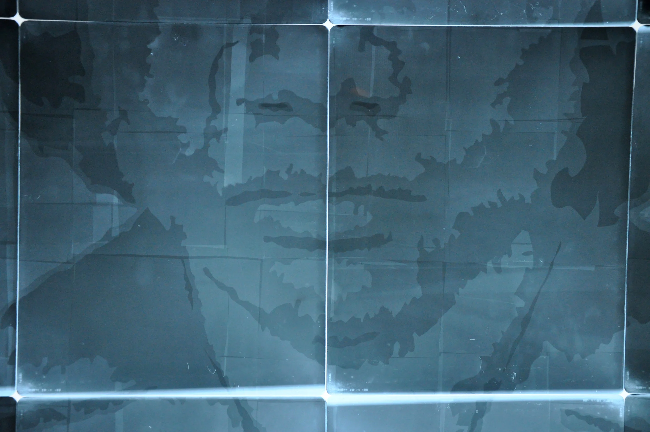 It Seems to be Known (2016), back-lit x-ray plates. Courtesy of the artist.