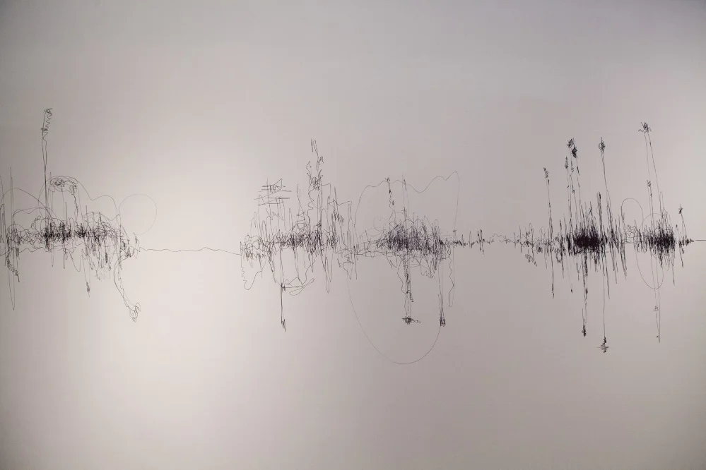 Liquidity of Sound (2016), marker pen wall drawing as part of an Open studio at Gyantapash Abdur Razzaq BidyaPeth organised by the Bengal Foundation. Courtesy of the artist.
Normal
0
false
false
false
EN-GB
X-NONE
HI
/* Style Definitions */
table.MsoNormalTable
{mso-style-name:"Table Normal";
mso-tstyle-rowband-size:0;
mso-tstyle-colband-size:0;
mso-style-noshow:yes;
mso-style-priority:99;
mso-style-parent:"";
mso-padding-alt:0in 5.4pt 0in 5.4pt;
mso-para-margin-top:0in;
mso-para-margin-right:0in;
mso-para-margin-bottom:10.0pt;
mso-para-margin-left:0in;
line-height:115%;
mso-pagination:widow-orphan;
font-size:11.0pt;
mso-bidi-font-size:10.0pt;
font-family:"Calibri",sans-serif;
mso-ascii-font-family:Calibri;
mso-ascii-theme-font:minor-latin;
mso-hansi-font-family:Calibri;
mso-hansi-theme-font:minor-latin;
mso-bidi-font-family:Mangal;
mso-bidi-theme-font:minor-bidi;
mso-fareast-language:EN-US;
mso-bidi-language:HI;}