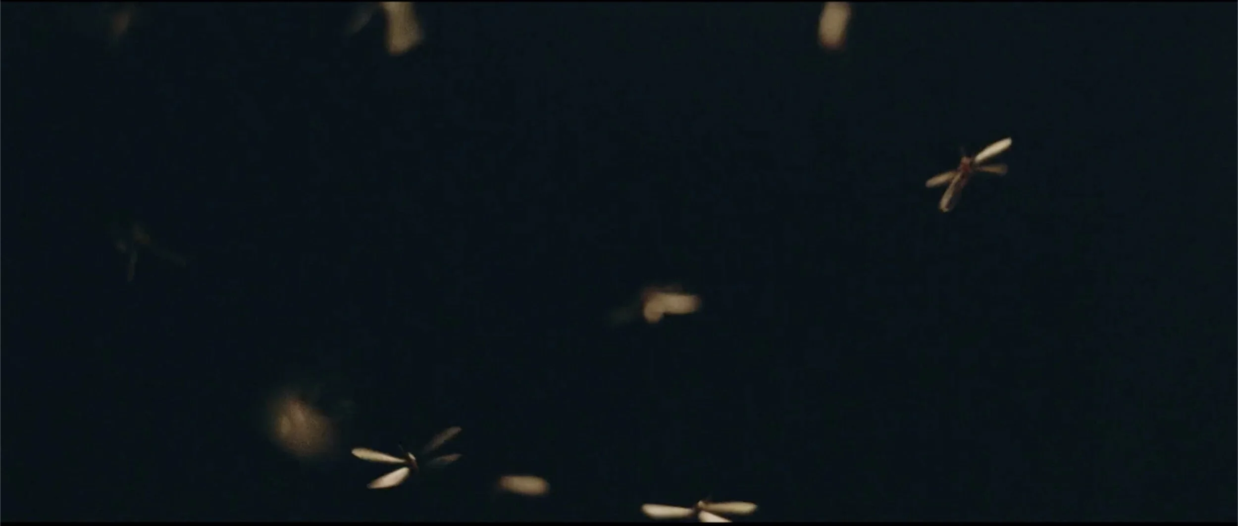 Screen Shot 2020-07-09 at 8.41.44 pm.jpeg