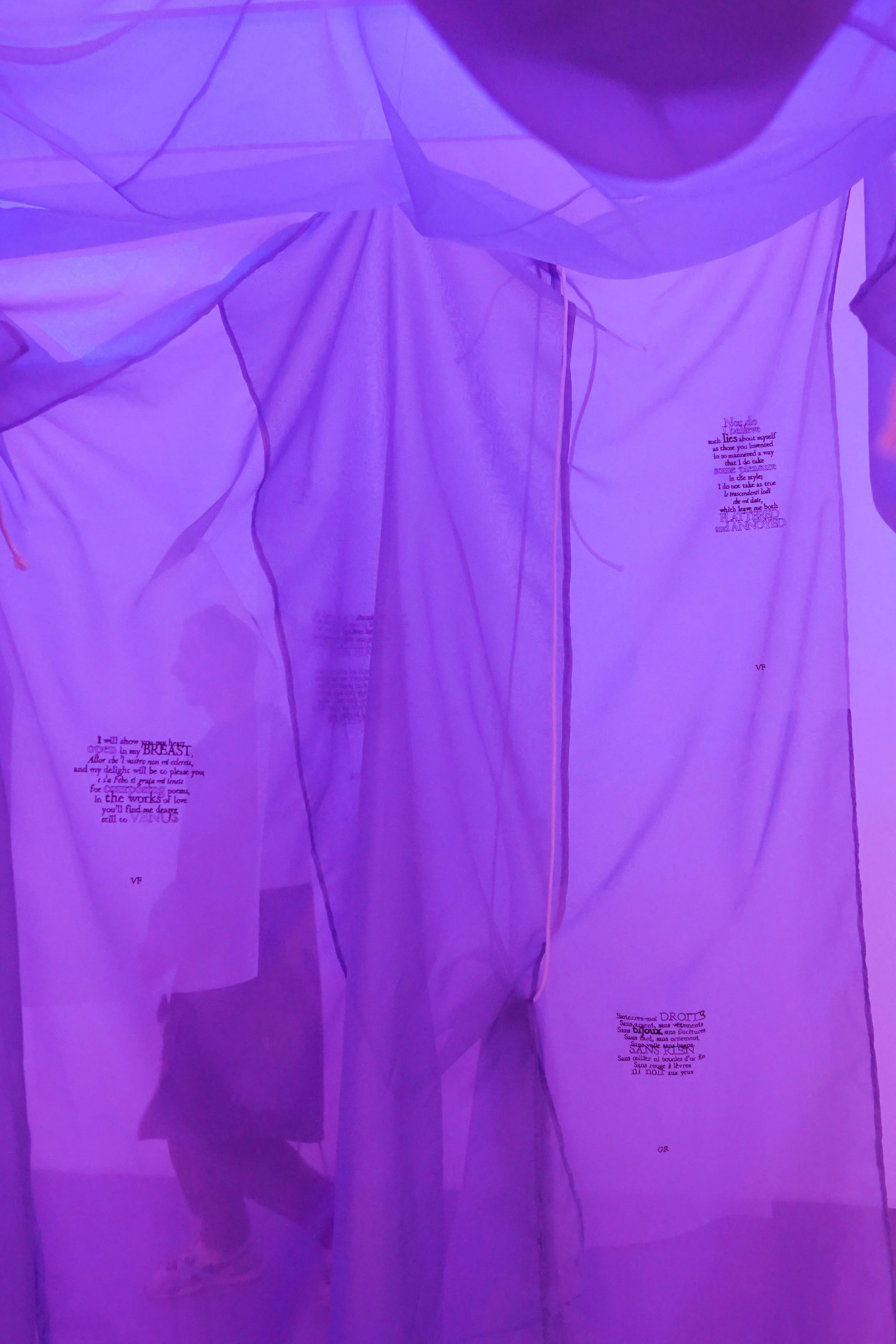 Medusa's baldaquin 3.jpg