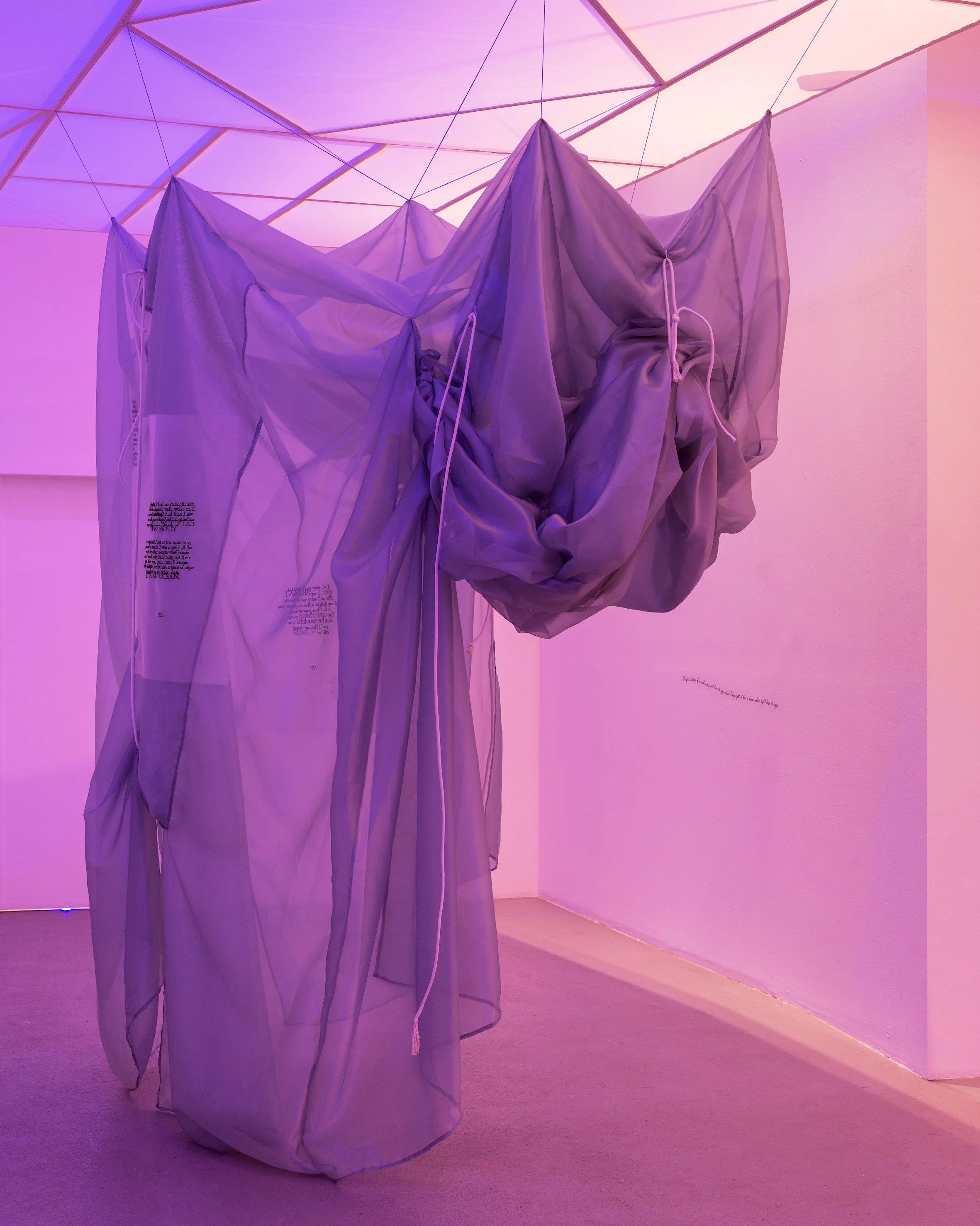 Eye Dust 2_Eye Dust 1_Fabien Silvestre Suzorand.jpg