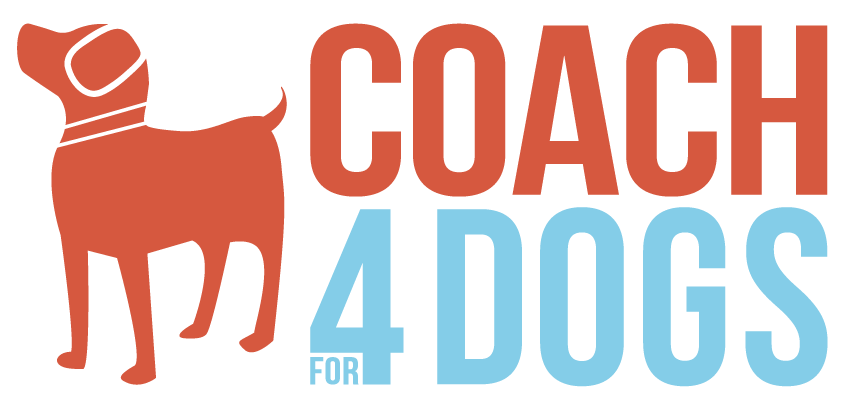 coach4dogs.com