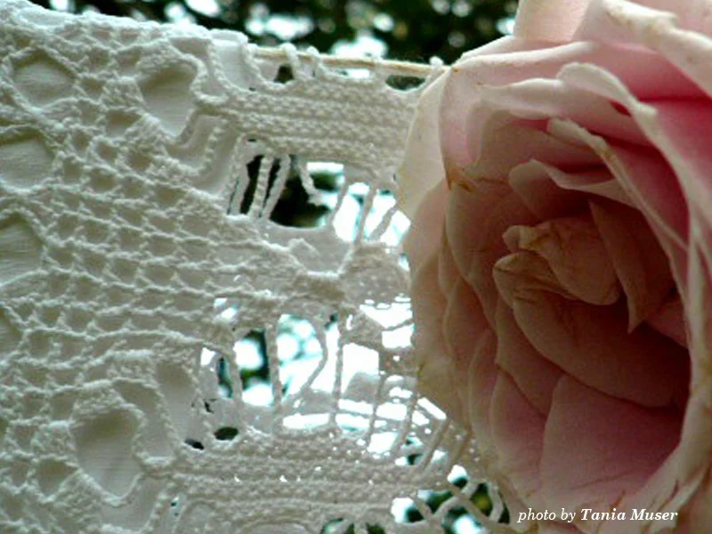 lace21.jpg