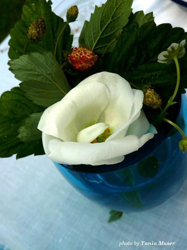 vaso1.jpg