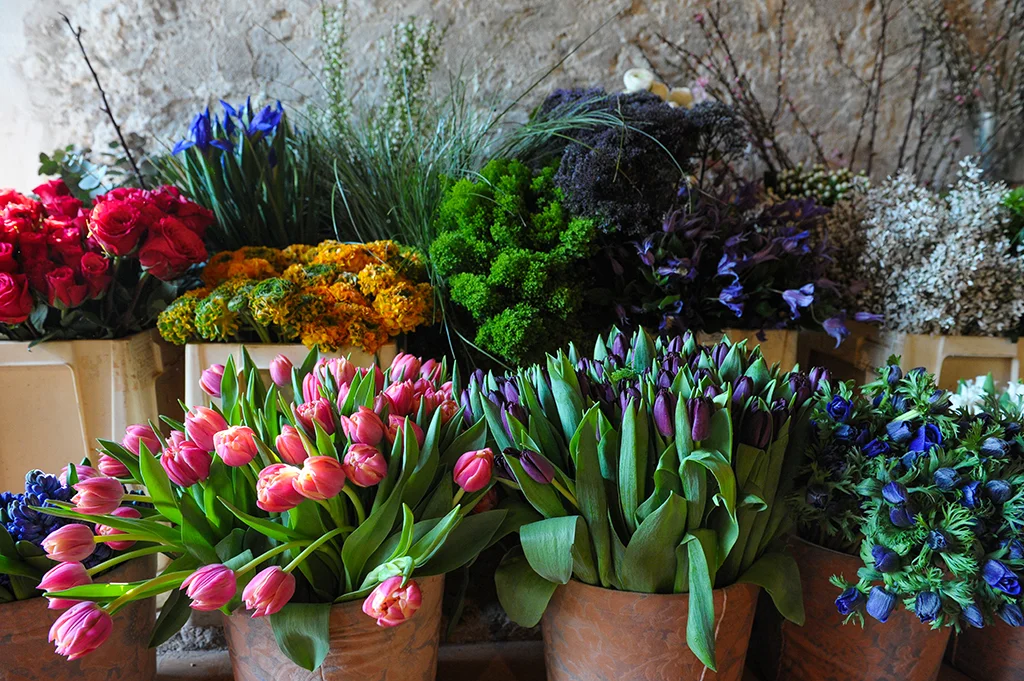 CORSO INTENSIVO DI FLOWER DESIGN