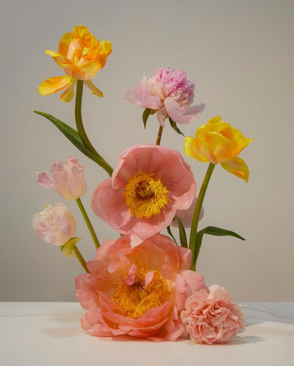 Corso di design floreale: peonie tra Oriente e Occidente in dialogo