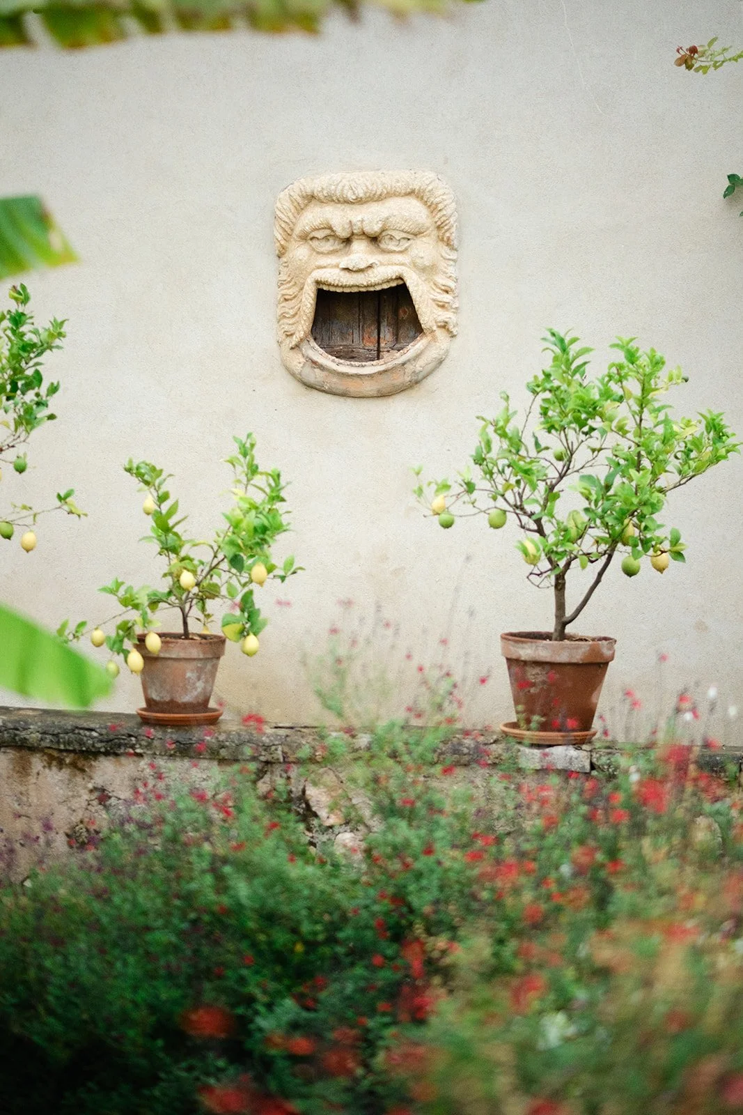 Tania Muser fiorista flower designer verona giardino villa