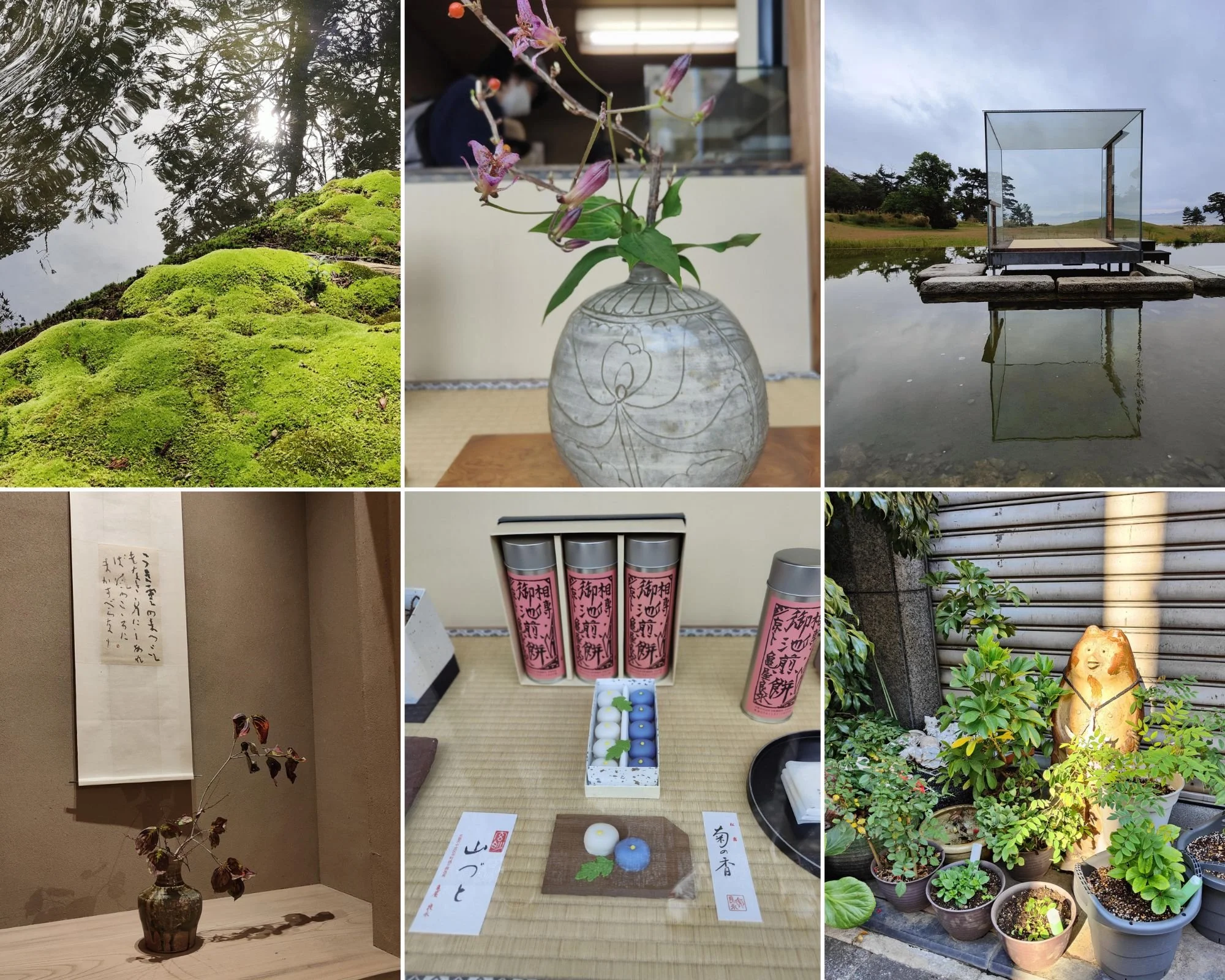 Tania Muser giappone design natura