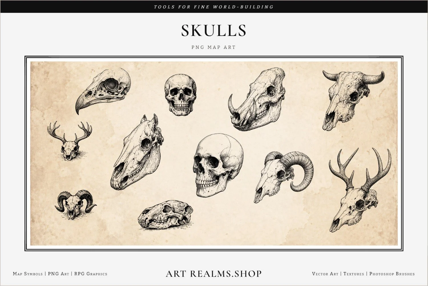 bones-paper-overlay-skulls-framed-resized.jpg
