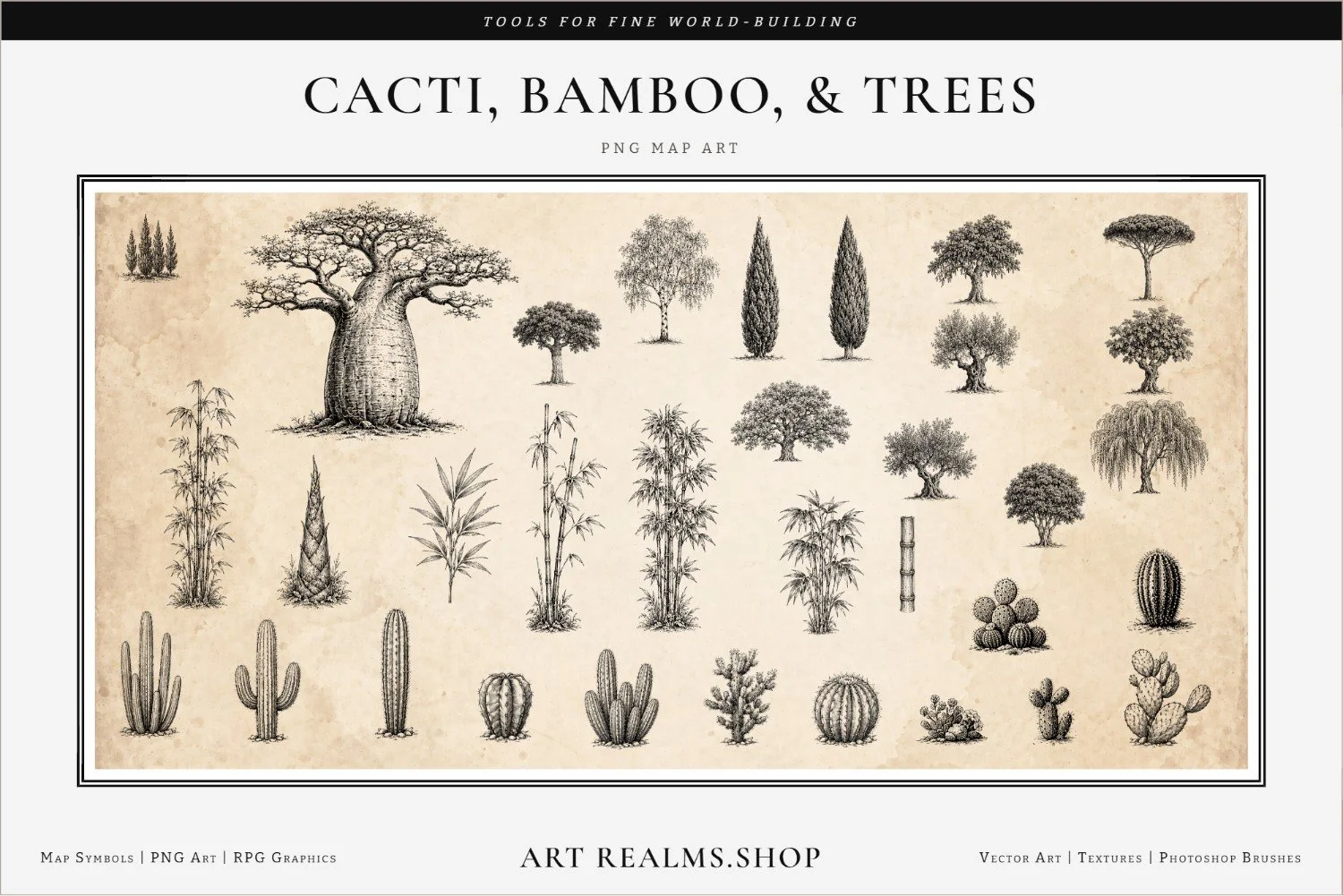 plants-1-of-6-paper-overlay-cacti-bamboo-trees-framed-resized.jpg