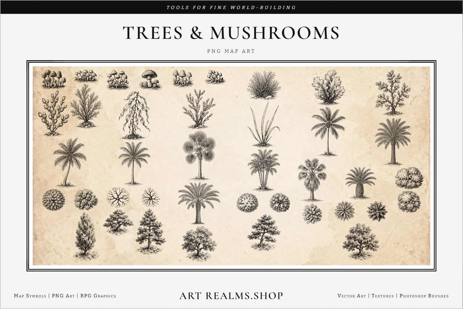 plants-5-of-6-paper-overlay-trees-mushrooms-framed-resized.jpg