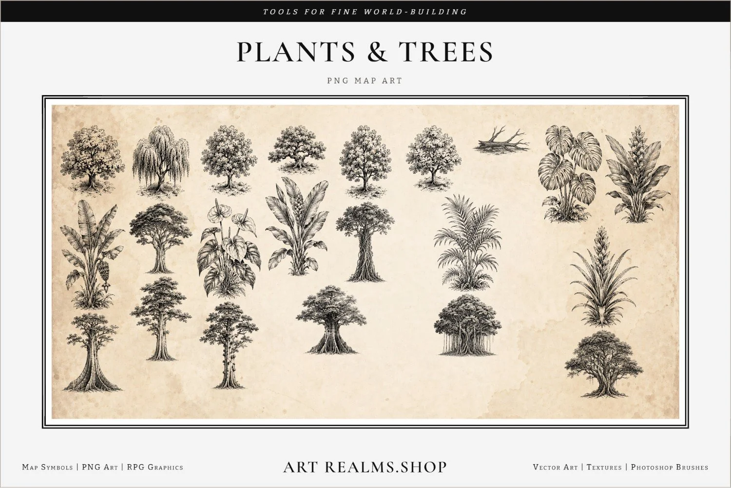 plants-6-of-6-paper-overlay-plants-trees-framed-resized.jpg