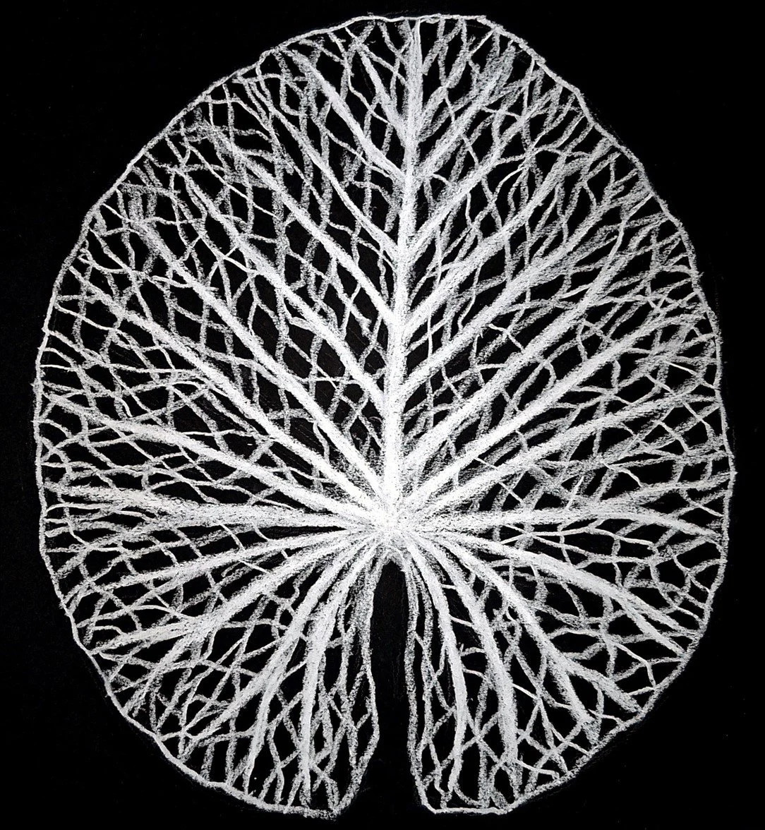 An abstract black and white textured pattern, reminiscent of natural scales or repetitive organic structures.