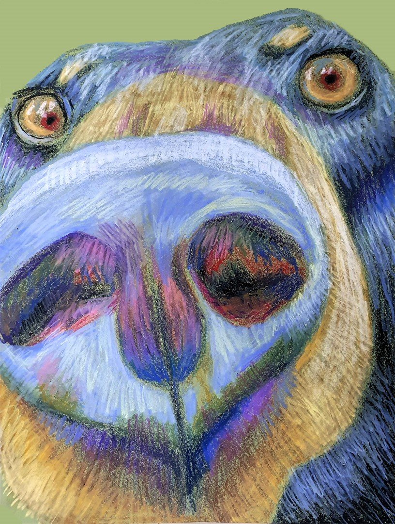An artistic macro view of a bear's nose, captured in soft, colorful pastel tones with fine detailing.