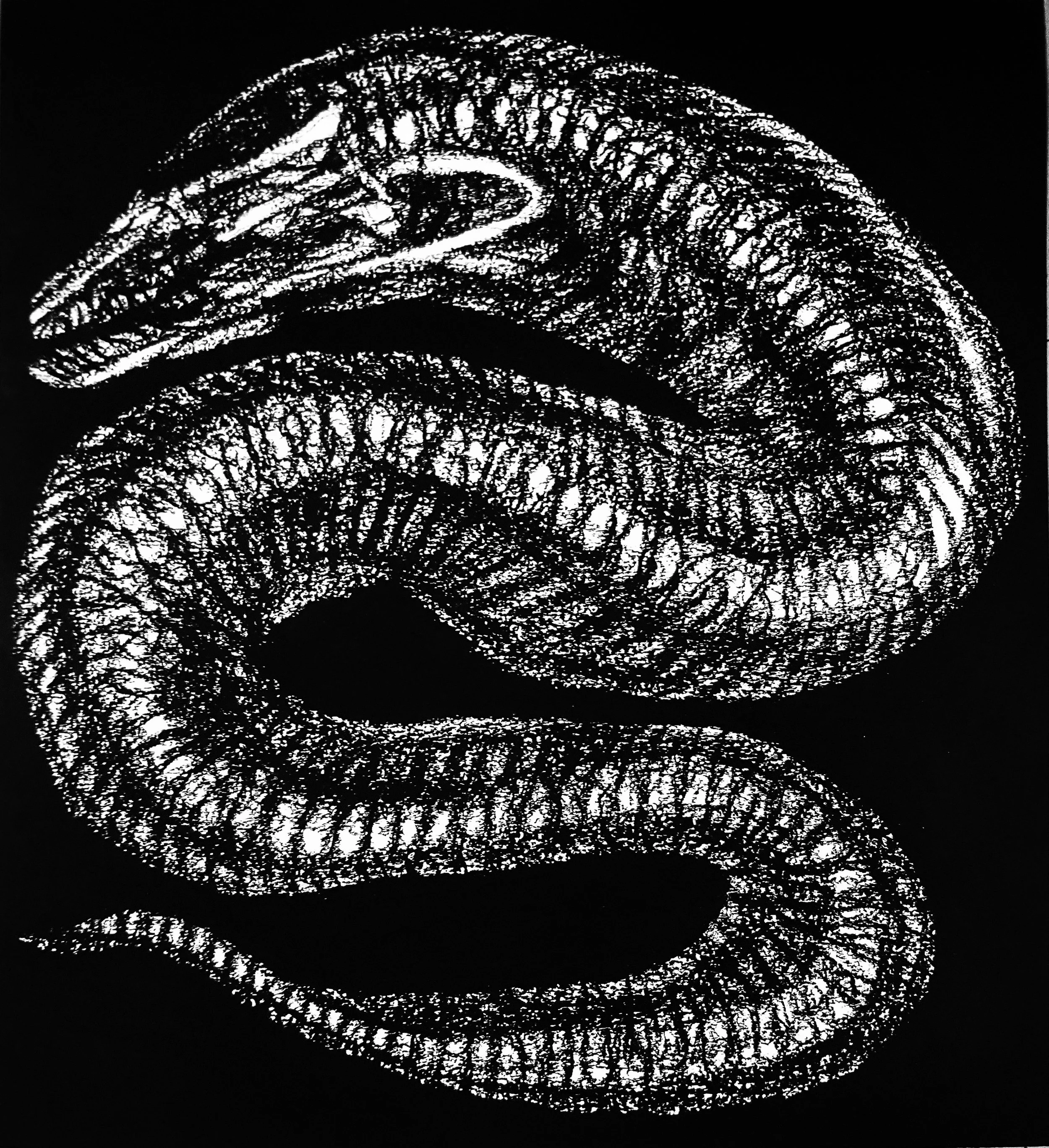 distorted-eel-snake-expressionist-art.jpg