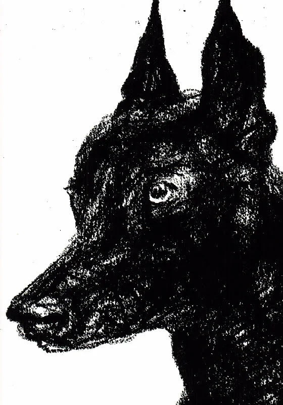 unnamed-6.jpg