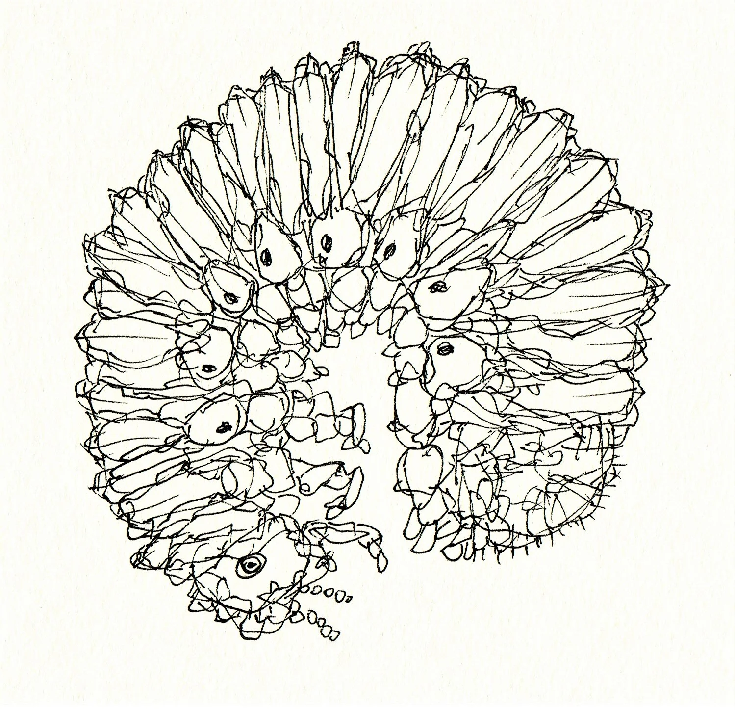 CCI11102015_0005.jpg