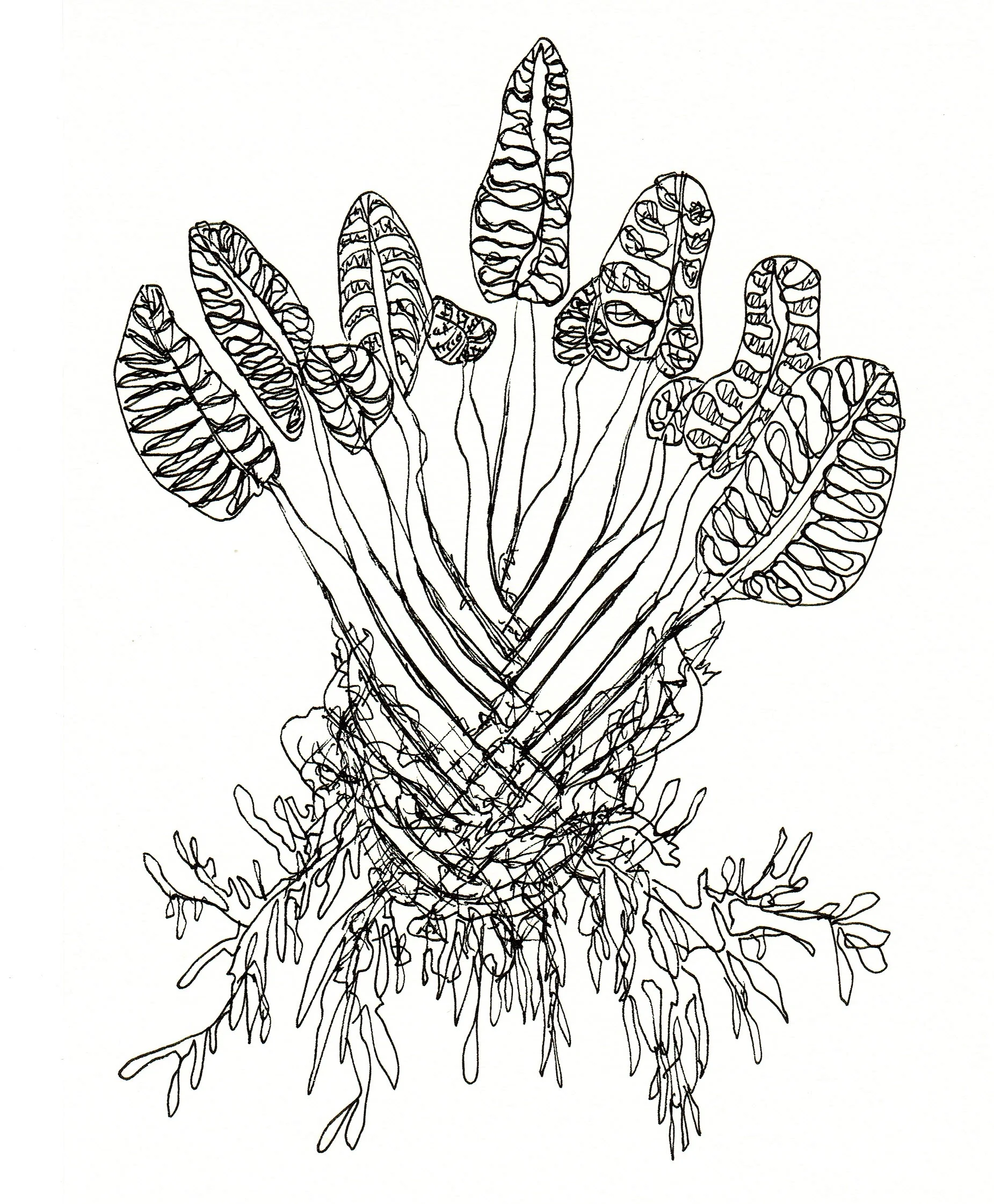 CCI28092015_0068.jpg