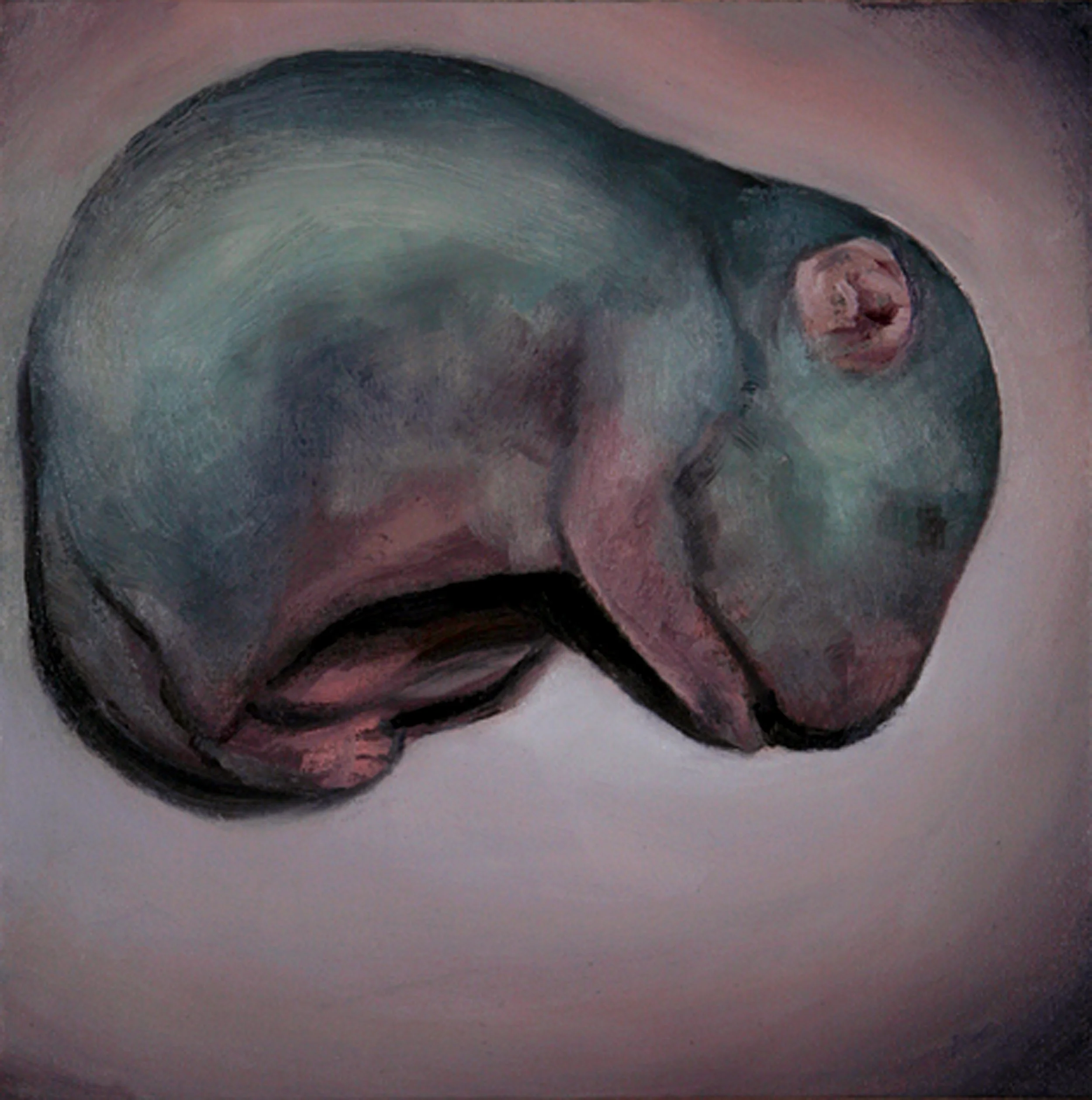 A minimalist baby panda close-up piece featuring a textured sphere or circle, exploring light, shadow, and perfect form