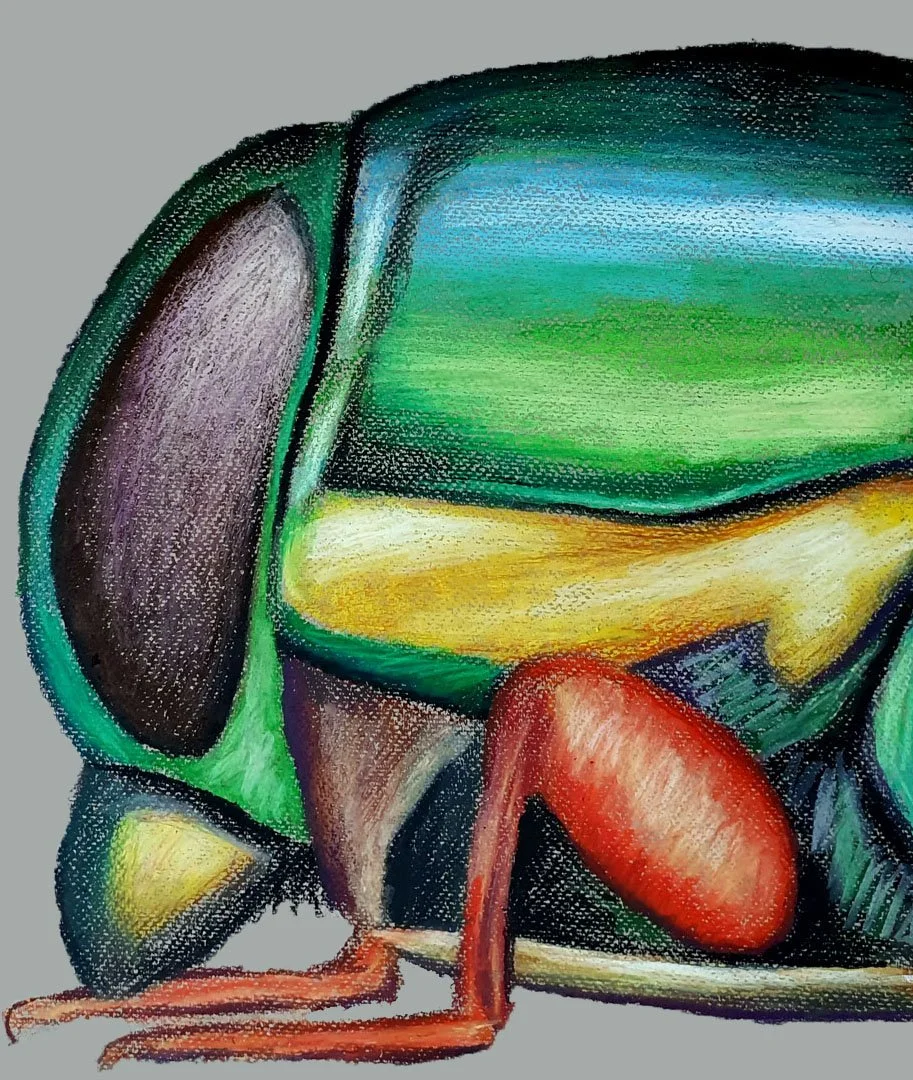 A vibrant insect illustration showcasing a bug with bright green and yellow textures in a unique style