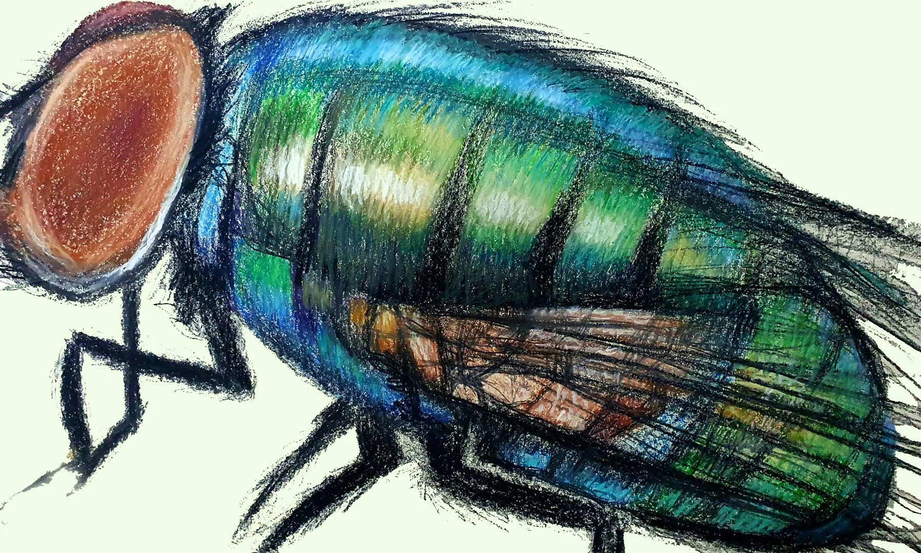 A vibrant insect illustration showcasing a fly with bright green and yellow textures in a unique style