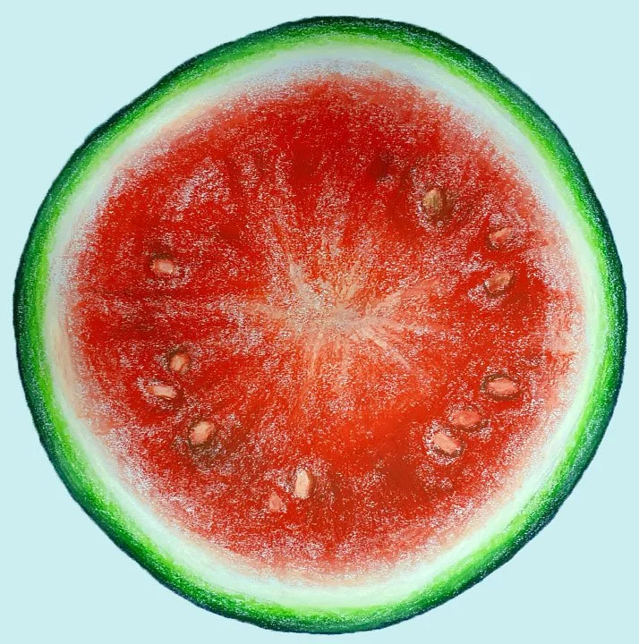 A powerful and vibrant pastel portrait of a watermelon slice, highlighting the raw energy of wildlife.