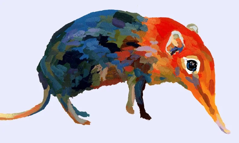 A colorful and expressive watercolor painting of a shrew, using a wide palette of vivid tones.