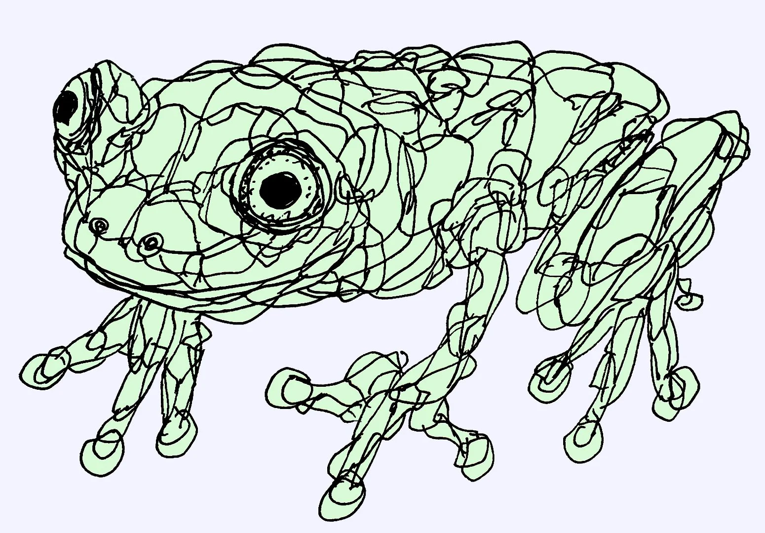 A detailed pen and ink drawing of a frog, highlighting the texture and form of the amphibian in a classic sketch style.