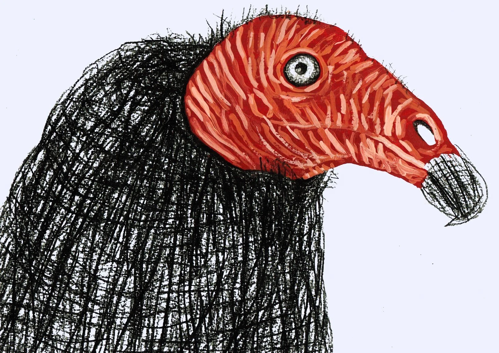 Intense vulture portrait in ink, focusing on expressive textures and line art - Roi Pajursky