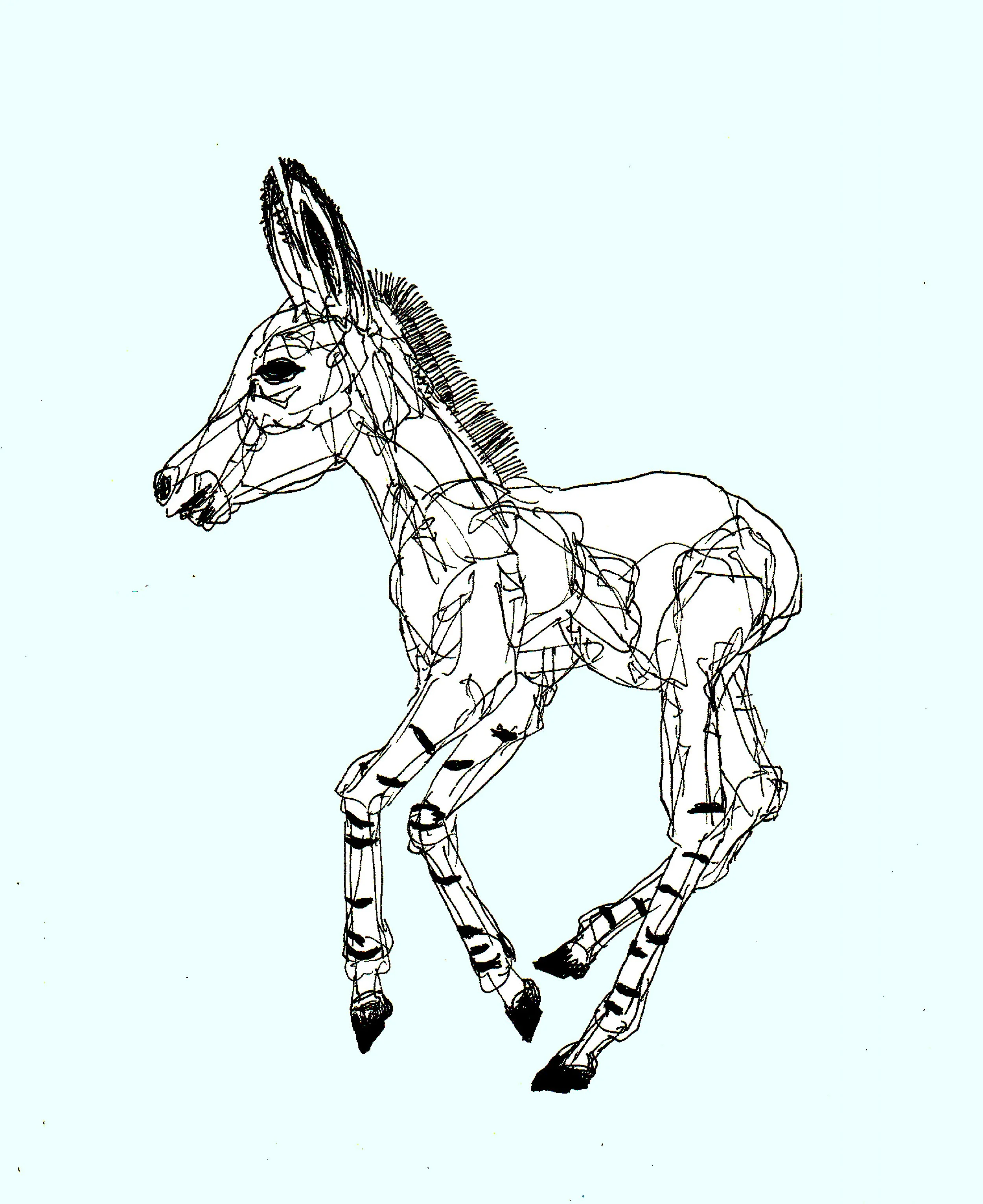 A minimalist black and white line art sketch of a donkey foal, framed and displayed as an art print mockup for home decor