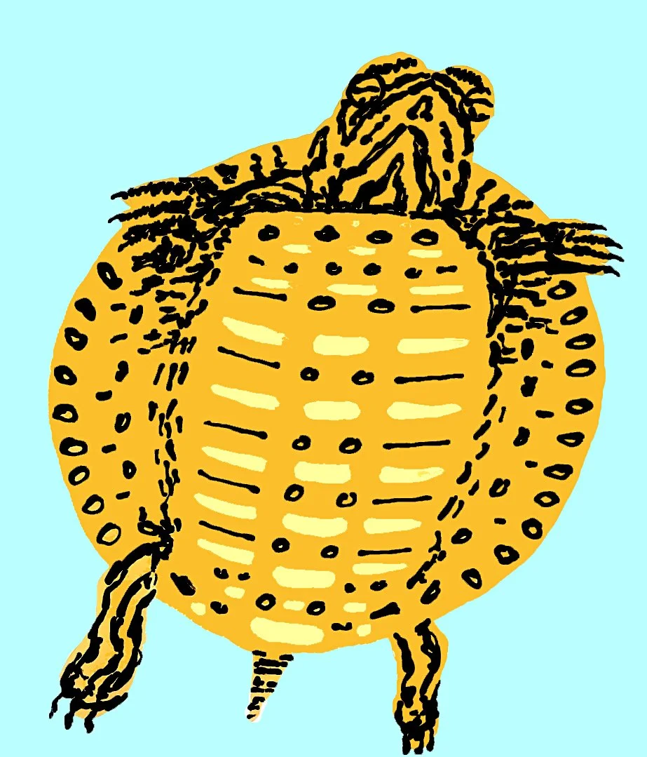 A stunning yellow turtle painting featuring a complex geometric shell pattern. A perfect fusion of nature and modern abstract art.

