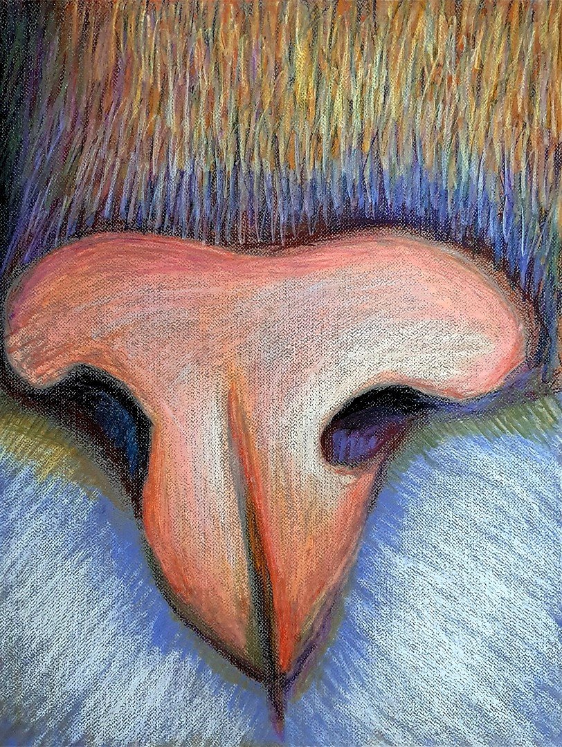 An artistic macro view of a cat's nose, captured in soft, colorful pastel tones with fine detailing.