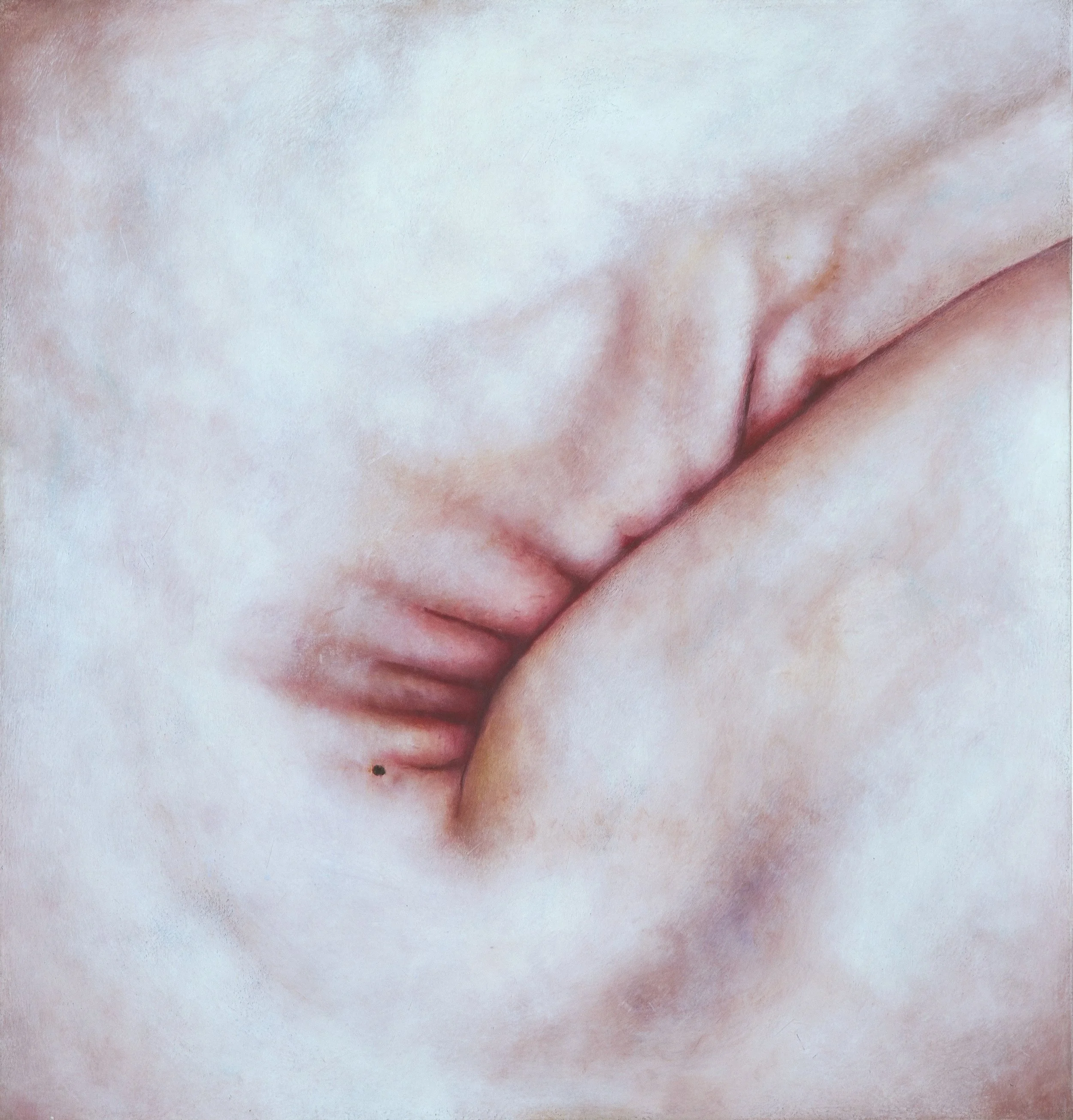 A detailed oil study of the human navel, featuring realistic skin textures and a masterful play of shadow and anatomical form.

