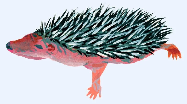 A cute and simple watercolor sketch of a hedgehog, showcasing its iconic spikes in a soft, artistic manner.