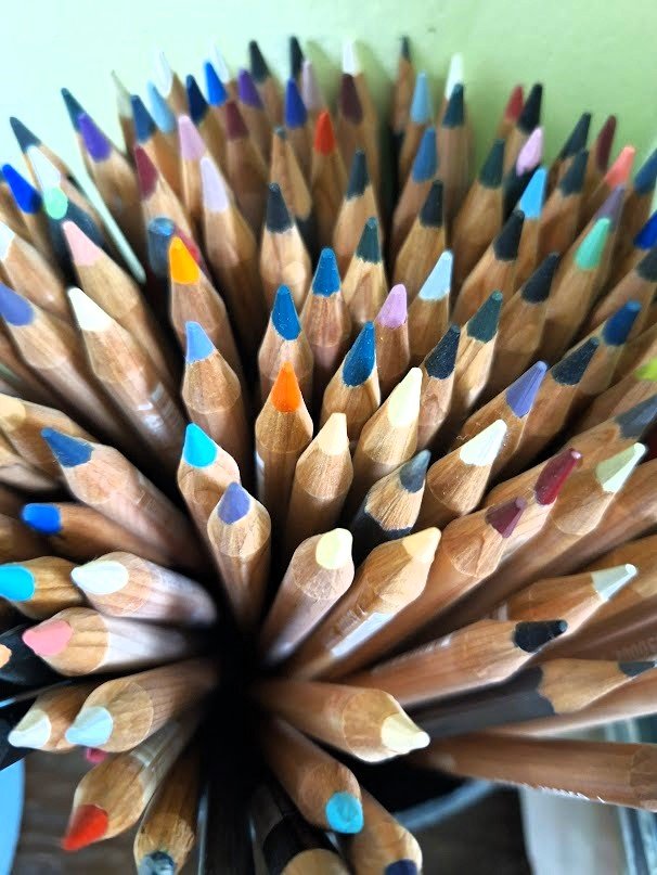 A dense collection of multi-colored professional drawing pencils in a studio container.