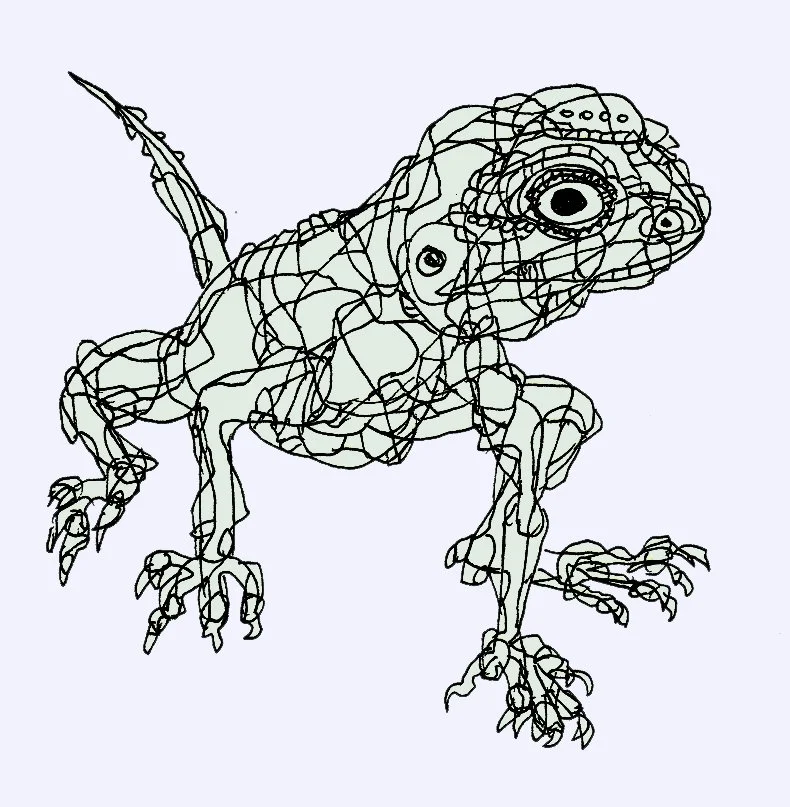 A detailed pen and ink drawing of a lizard, highlighting the texture and form of the amphibian in a classic sketch style.