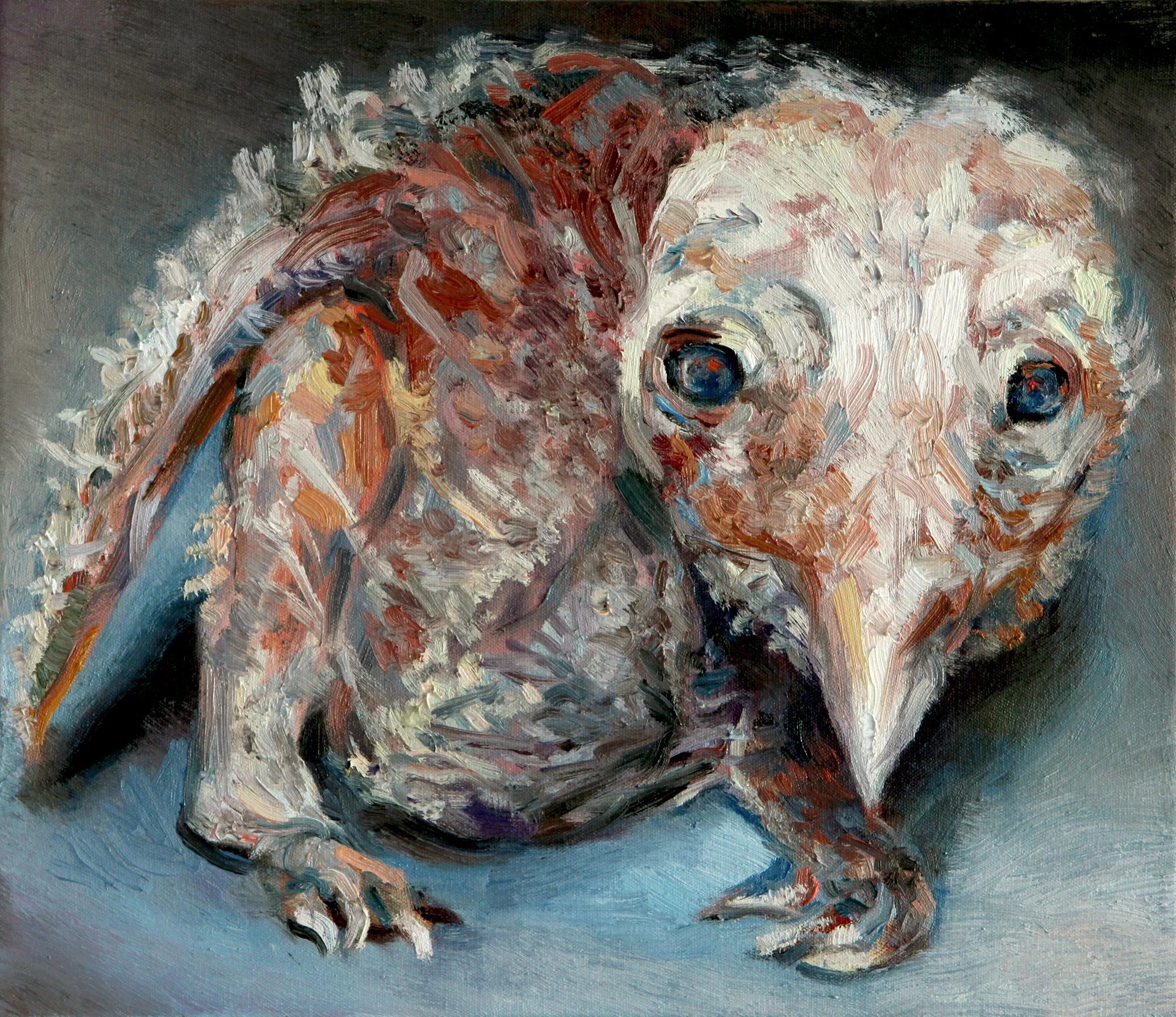 A detailed and character-focused oil portrait of a bird's chic.