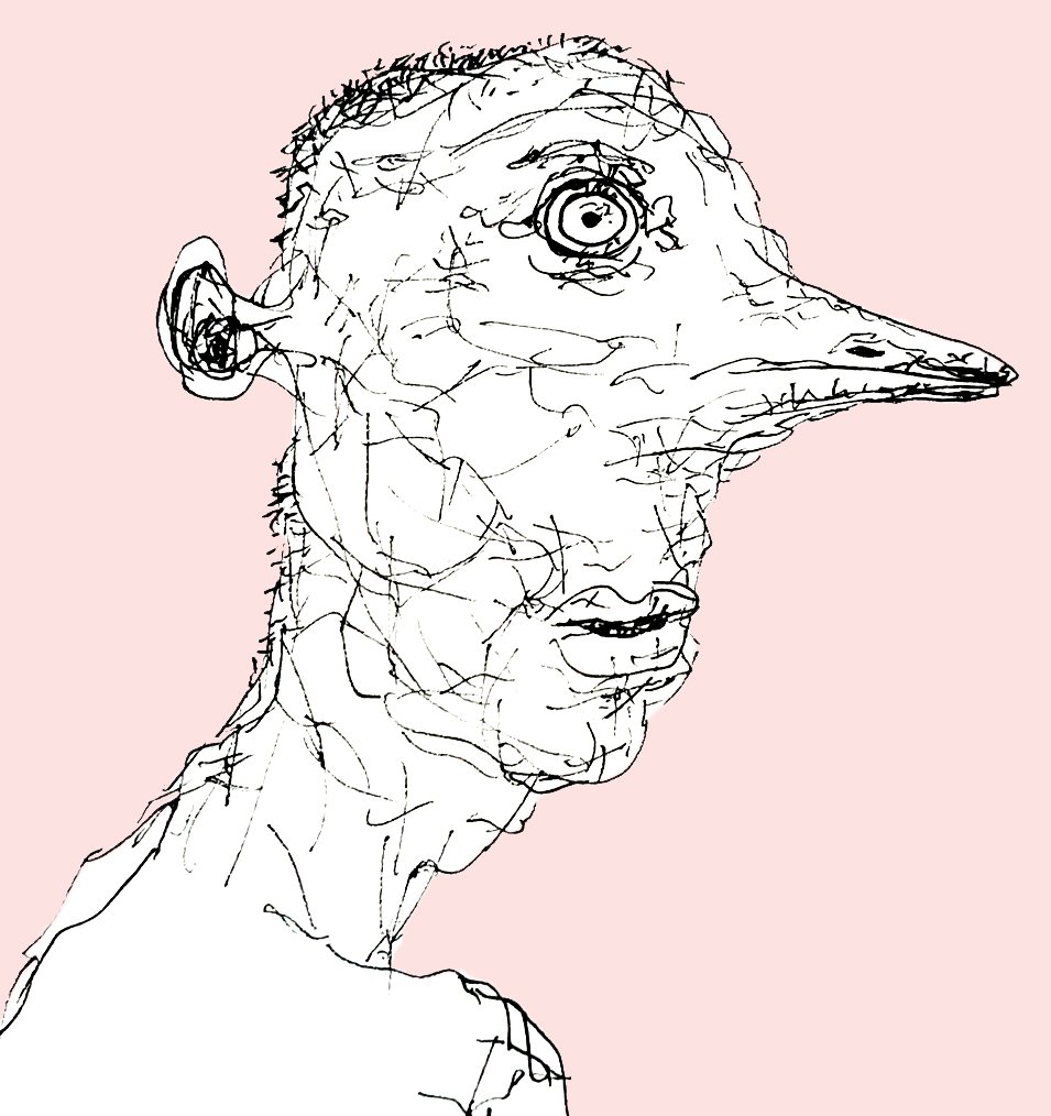 A minimalist and clean pen sketch of a bird-like human, emphasizing the animal's silhouette and character