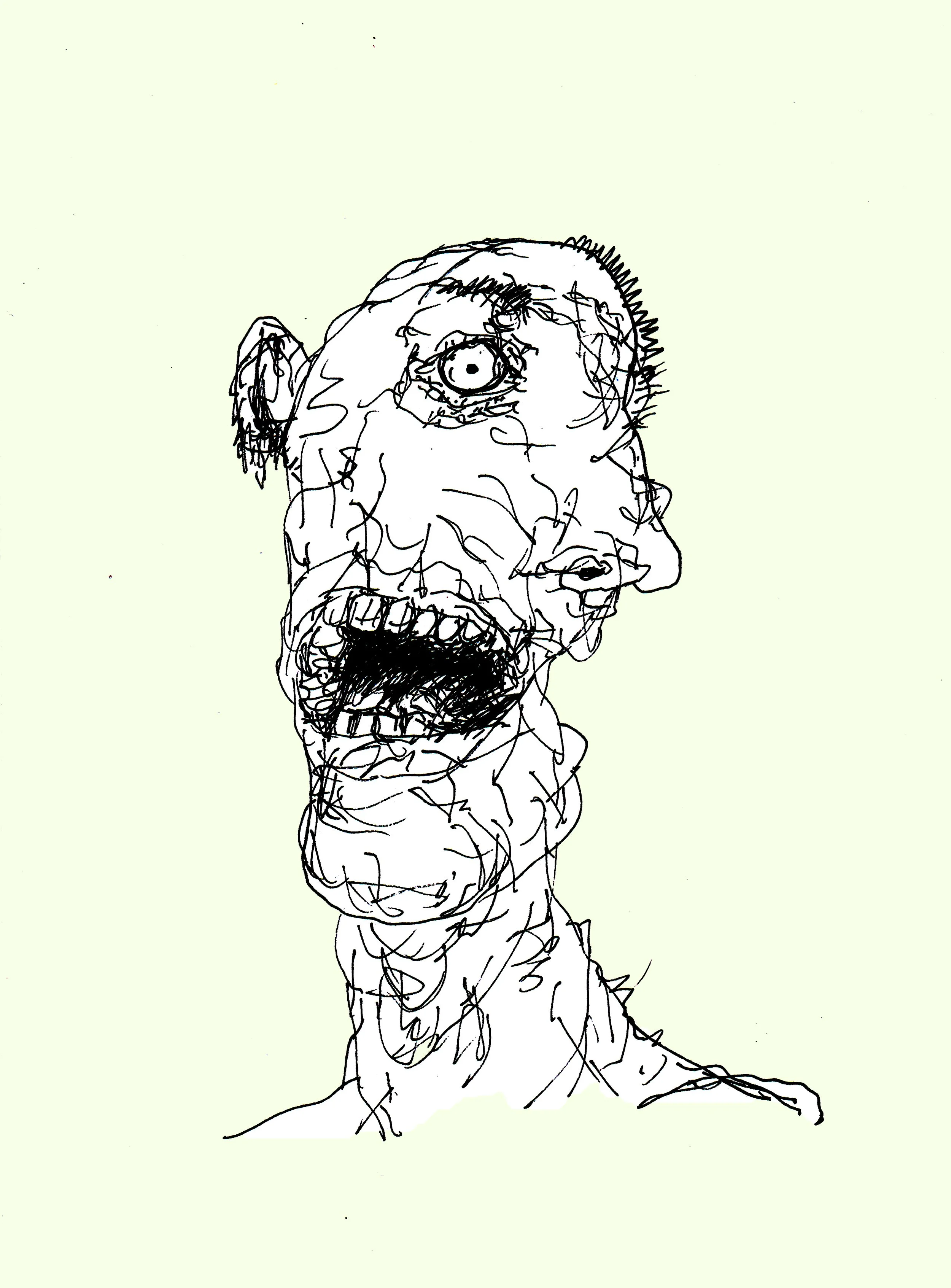 A creative and slightly surreal ink illustration of a monster's face, filled with imaginative details.