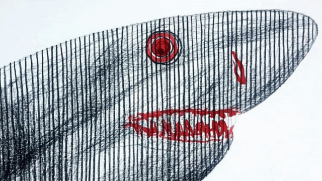 Expressive ink striped shark gif study featuring intricate line-work and intense gazes, contemporary illustration - Roi Pajursky