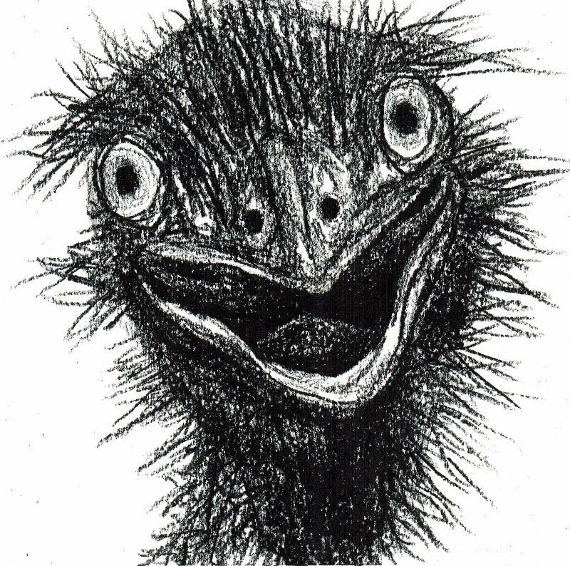 ostrich-expressive-drawing.jpg