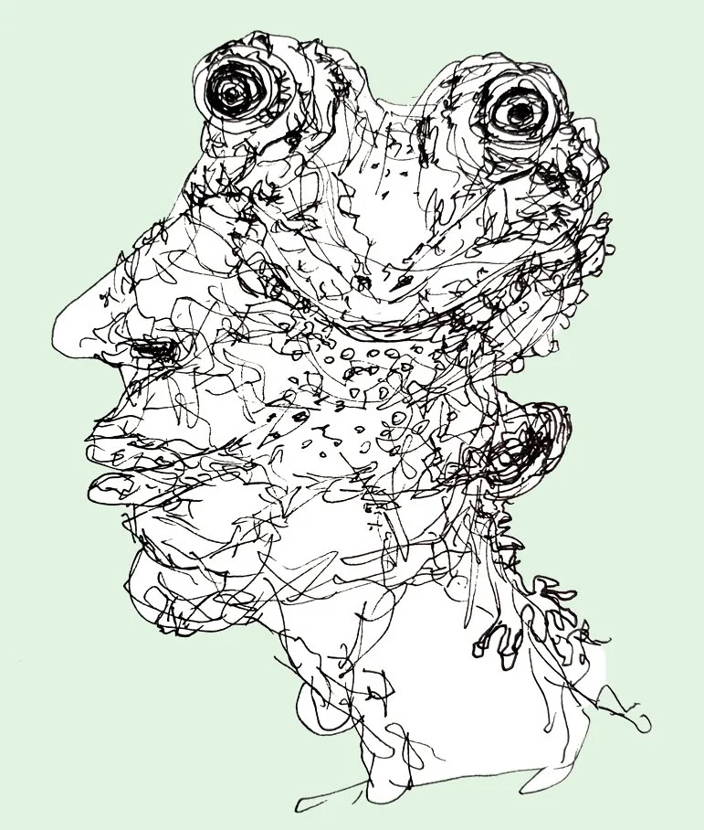 A minimalist and clean pen sketch of a frog-like face, emphasizing the animal's silhouette and character