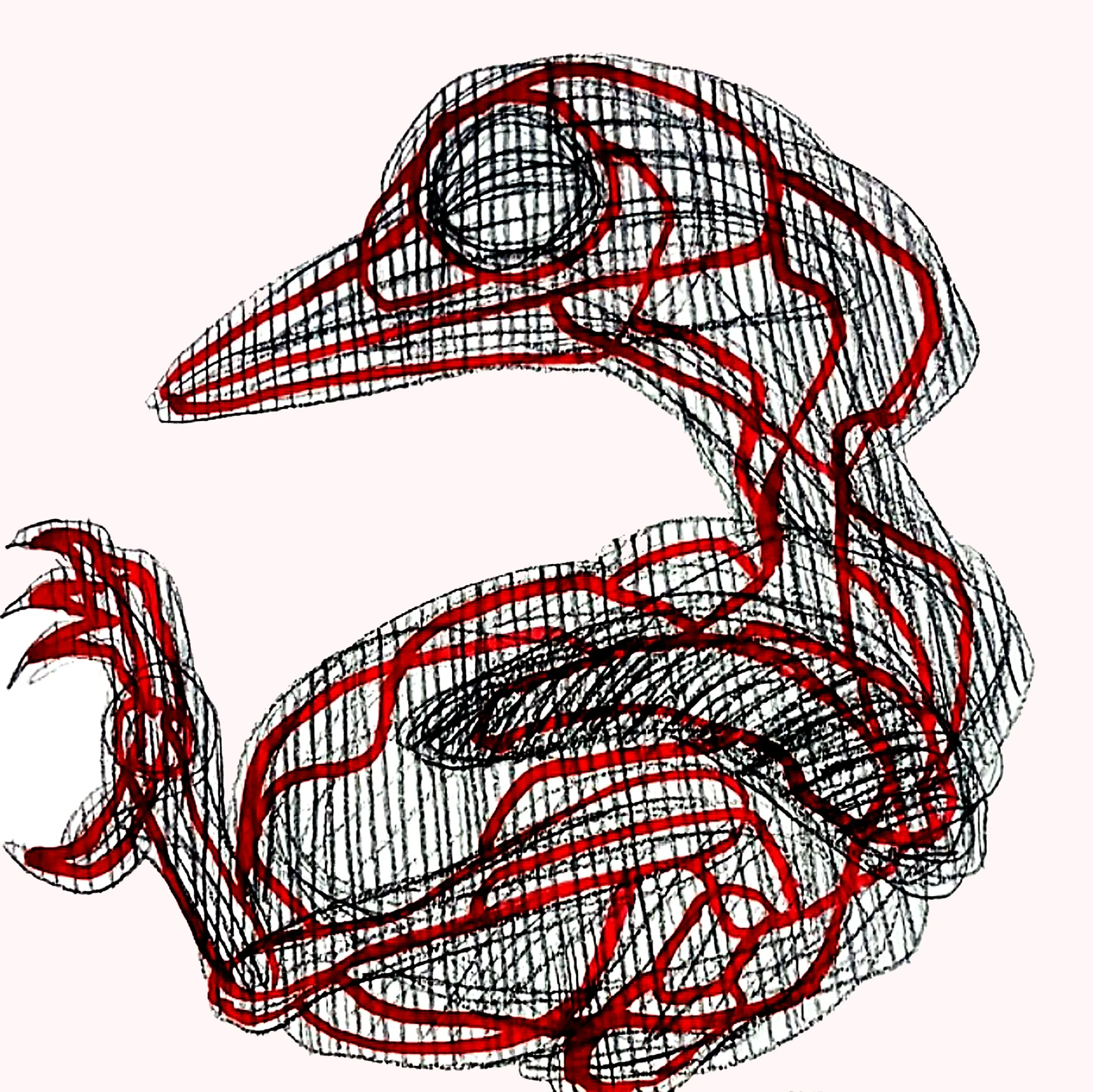 Expressive ink animal  bird study featuring intricate line-work and intense gazes, contemporary illustration - Roi Pajursky