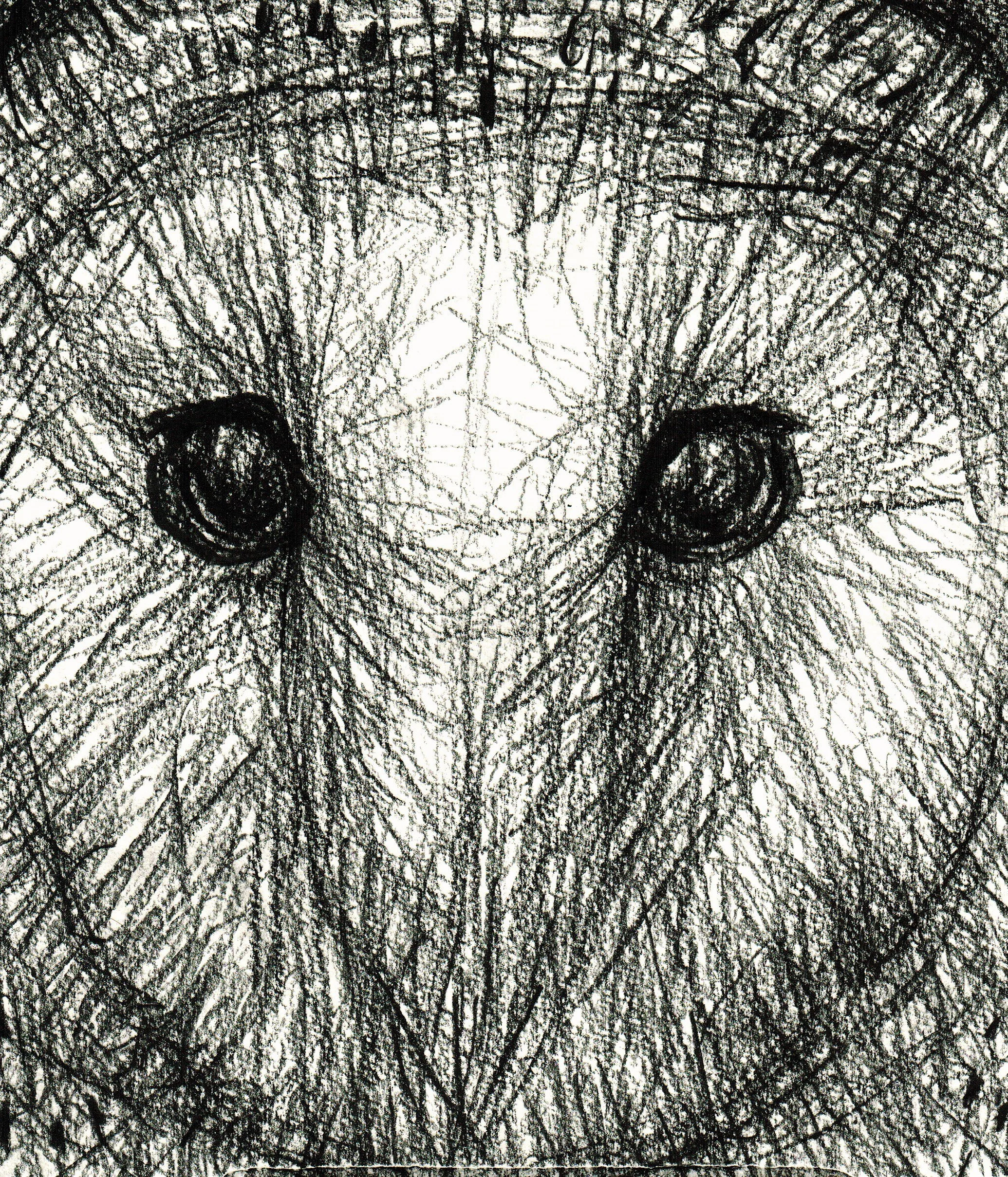 owl-expressive-drawing.jpg
