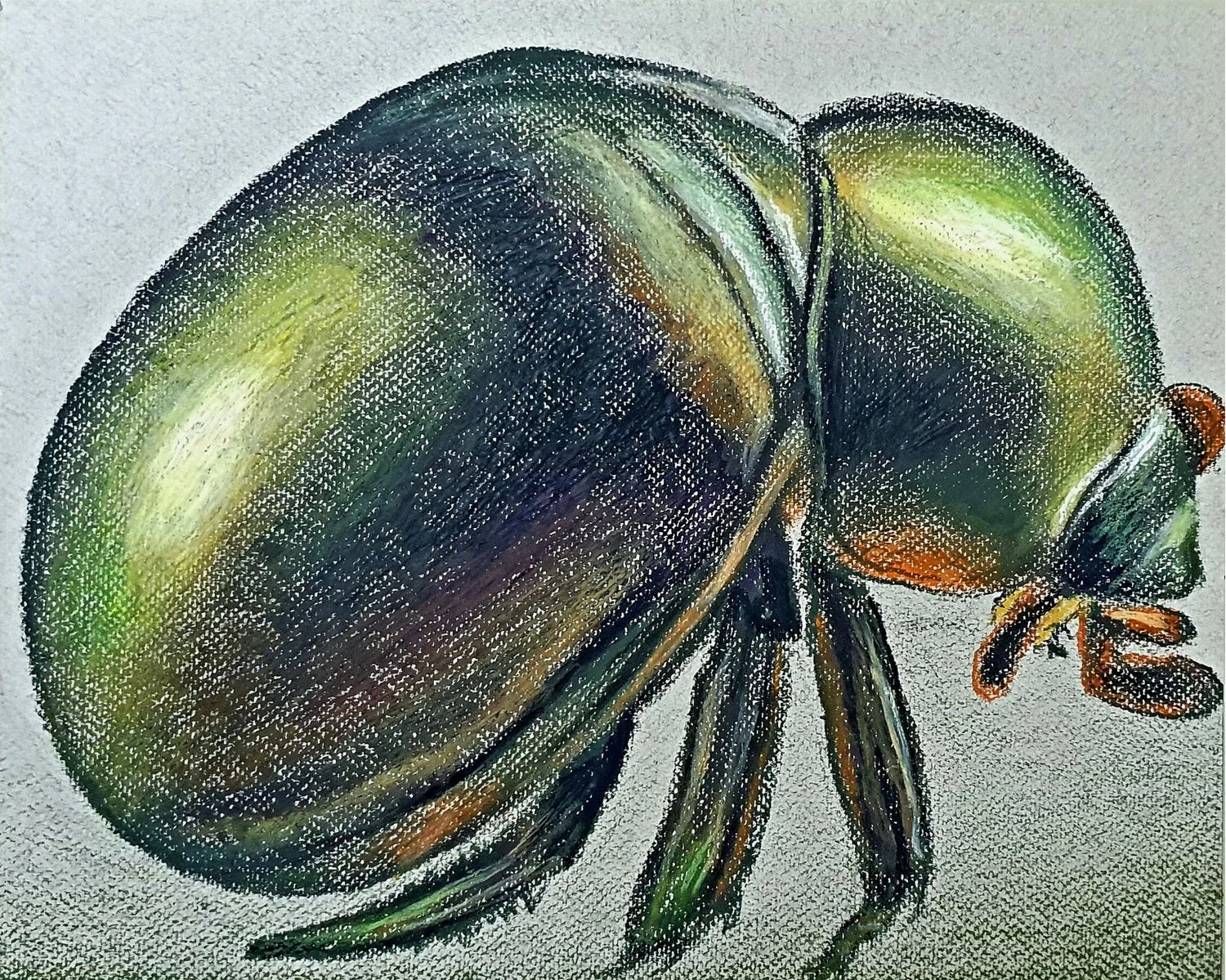 A vibrant insect illustration showcasing a beetle with bright green and yellow textures in a unique style
